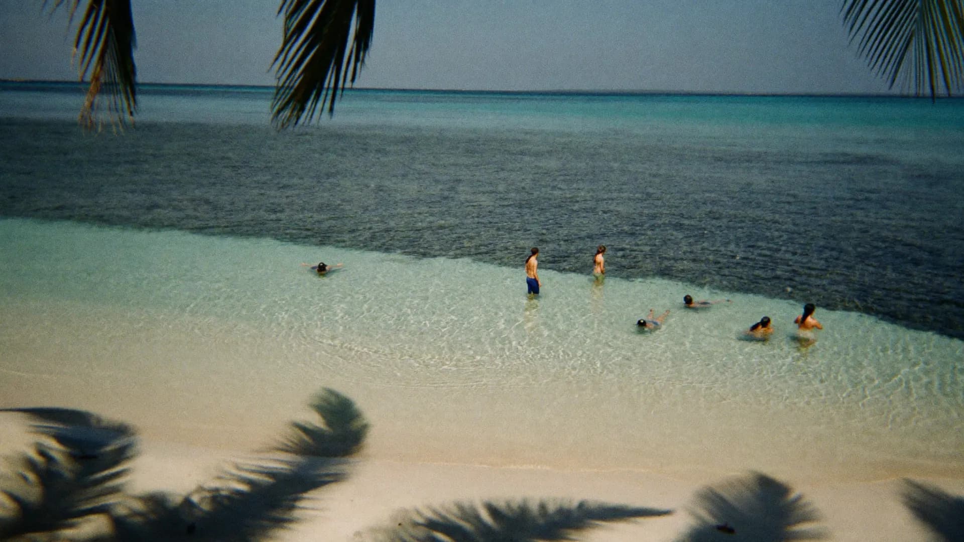 Nadar con tortugas en Akumal: cómo es y qué reglas seguir